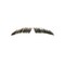 The Costume Center Medium Brown Men Adult Halloween Fake Eyebrow Costume Accessory - One Size